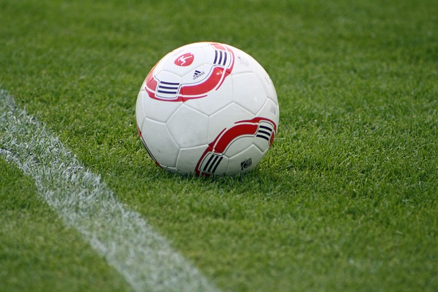 成为团队的 成为团队的