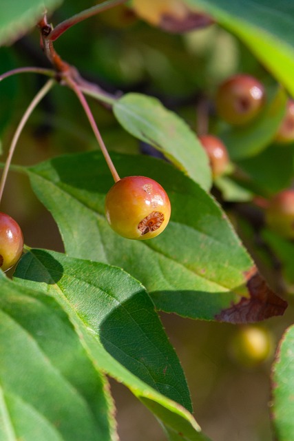 仅汇集了国 仅汇集了国