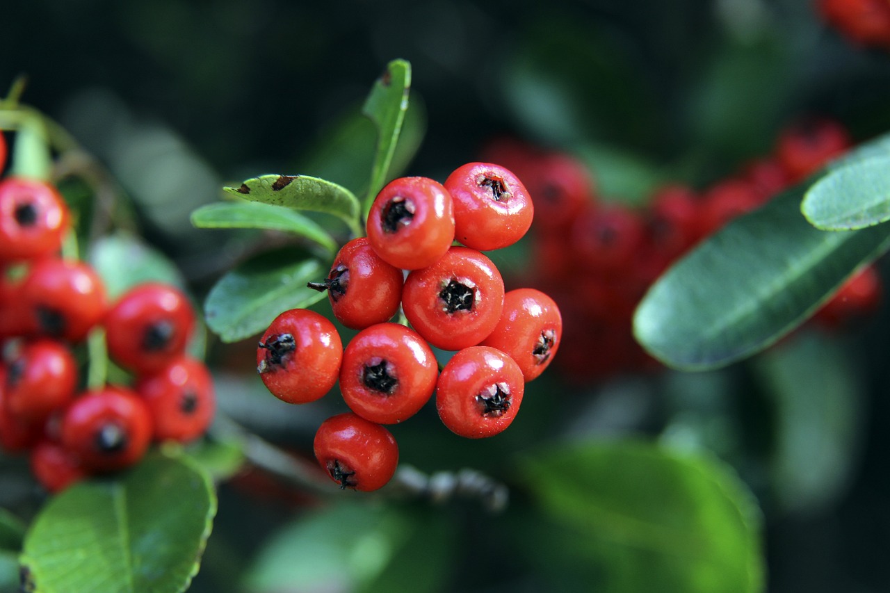 更在心理承 更在心理承